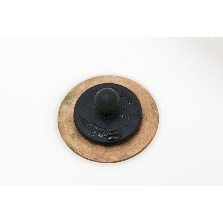 SinkShroom 2.25'' W Bathroom Sink Drain Wayfair Canada